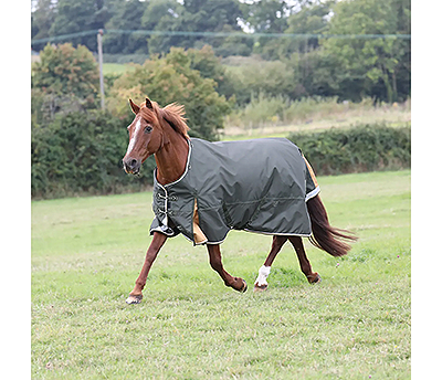 Shires Highlander Plus 100 Standard Neck - Green