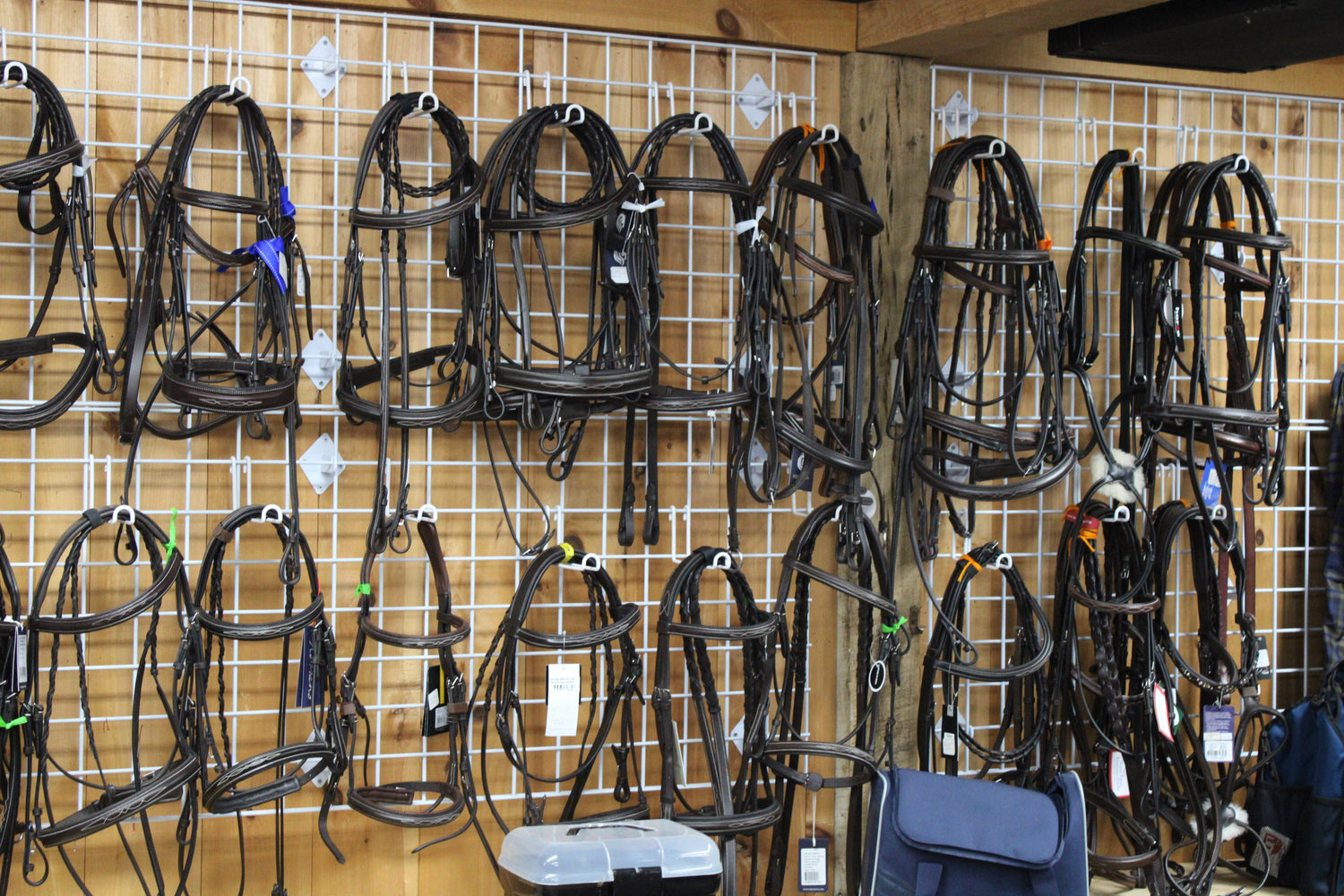 Collection of horse bridles and halters on a wall display