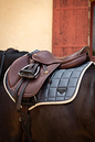 LeMieux Loire Classic Close Contact Square - Jay Blue