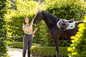 LeMieux Loire Classic Close Contact Square - Fern