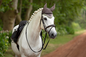 LeMieux Loire Ear Bonnet - Walnut