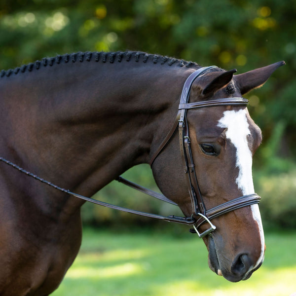 Black Oak Laurel Bridle