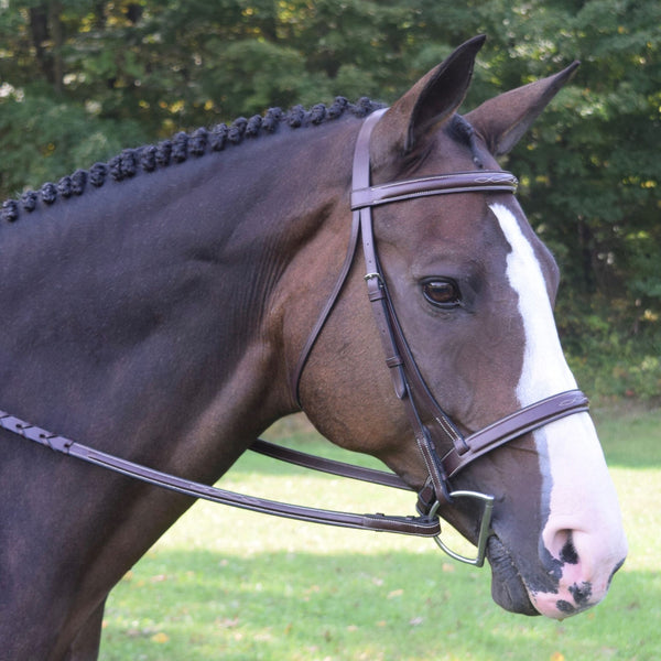 Black Oak Spruce Bridle