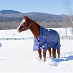 Equinavia Arktis Extended Neck Turnout Sheet