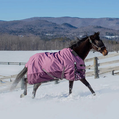 Equinavia Norse Lightweight Turnout Blanket