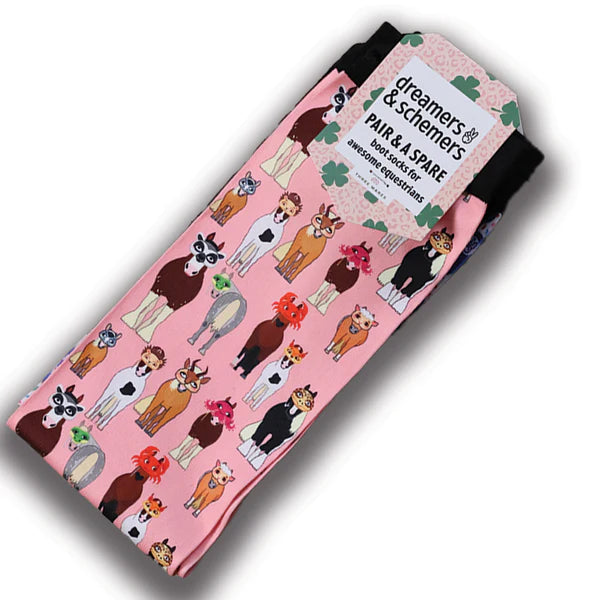 Dreamers And Schemers Youth Pair & a Spare Socks