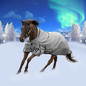 Equinavia Arktis Extended Neck Light Weight Turnout Blanket 100g - Charcoal Gray