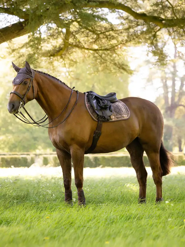LeMieux Heritage Check Jump Square Cocoa