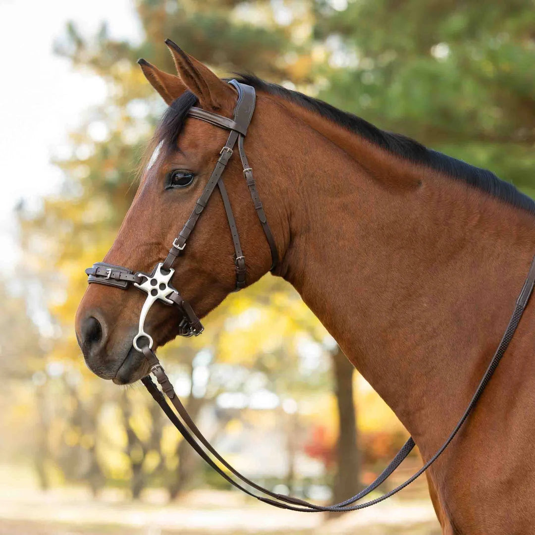 Equinavia Saga Hackamore Bridle with Rubber Reins