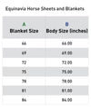 Equinavia Arktis Regular Neck Light Weight Turnout Blanket 100g