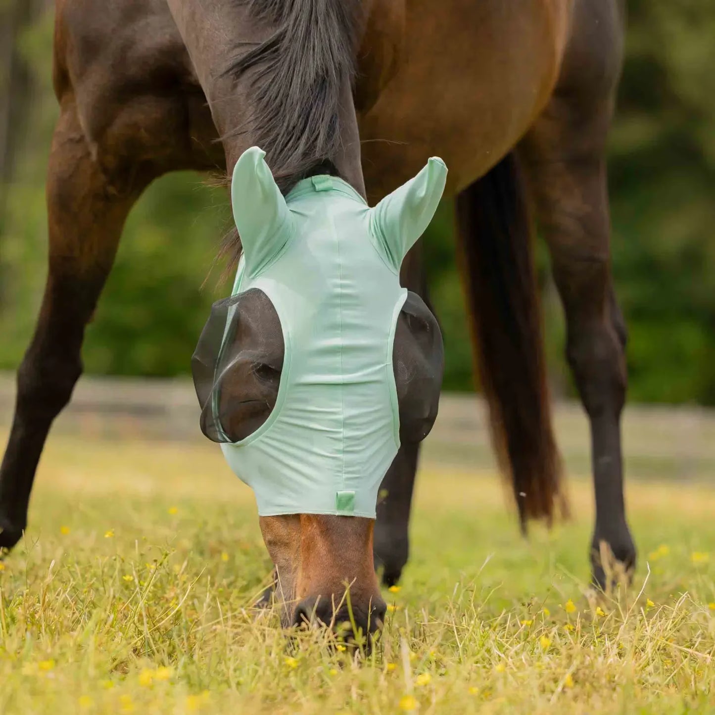 Equinavia Bug Out Fly Mask