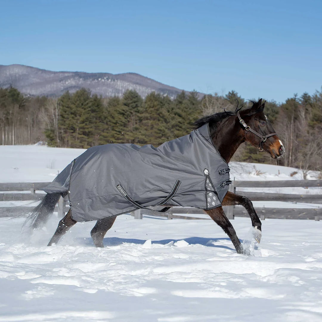 Equinavia Arktis Extended Neck Heavy Weight Turnout Blanket 300g
