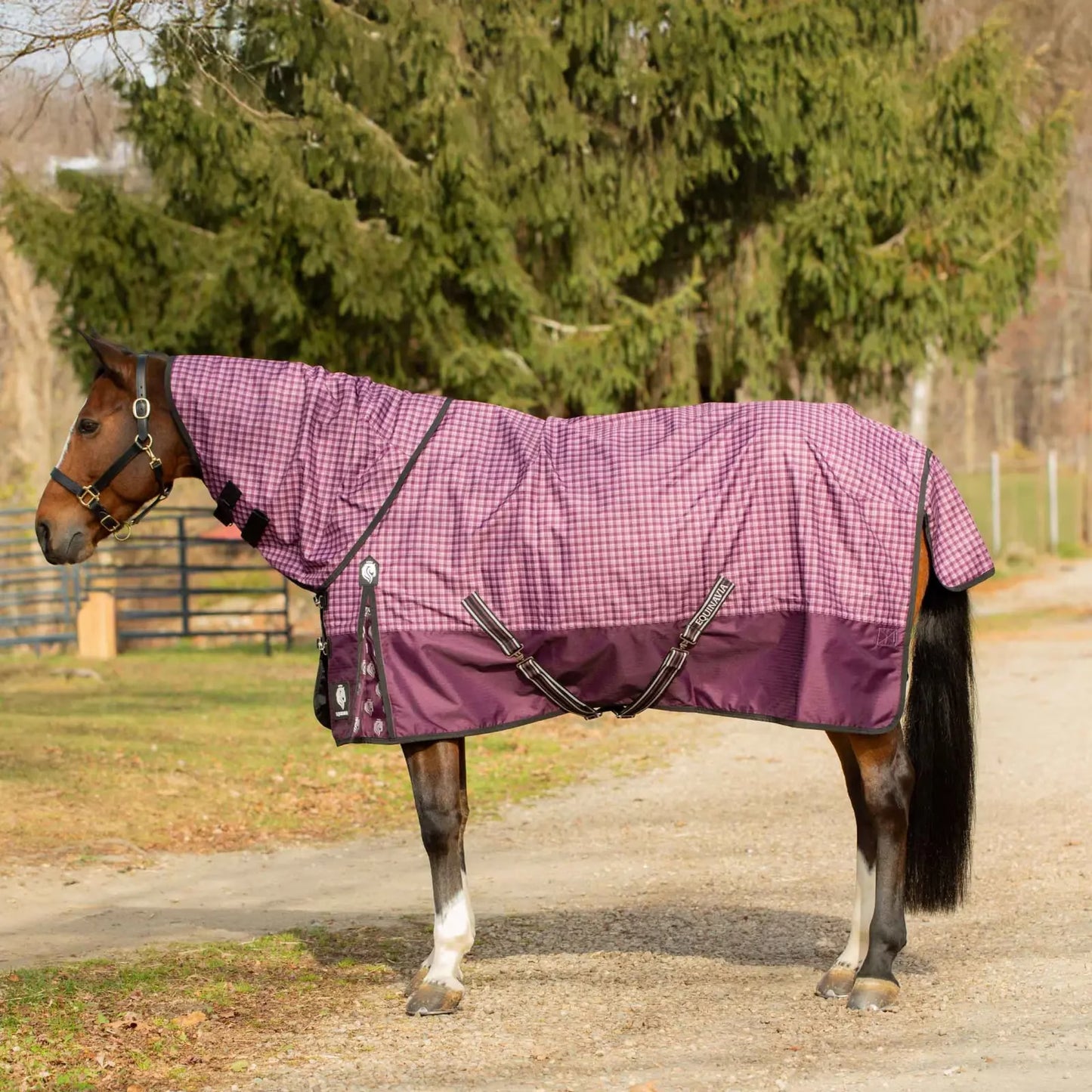 Equinavia Norse Lightweight Turnout Blanket