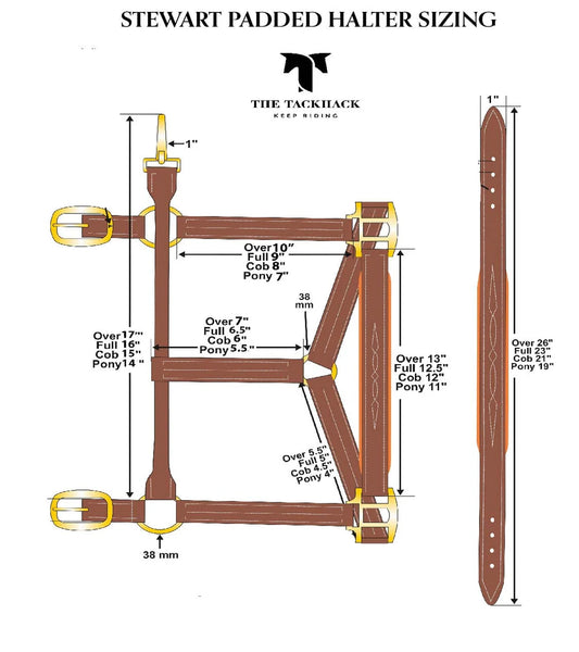 The Tack Hack Stewart Padded Leather Halter