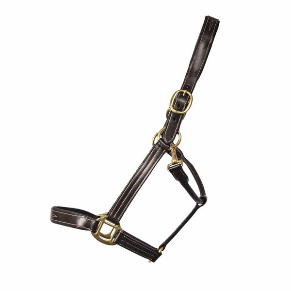 The Tack Hack Stewart Padded Leather Halter