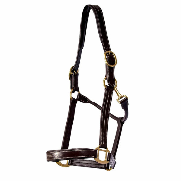 The Tack Hack Stewart Padded Leather Halter