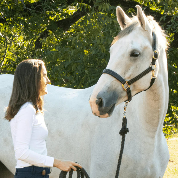 The Tack Hack Stewart Padded Leather Halter