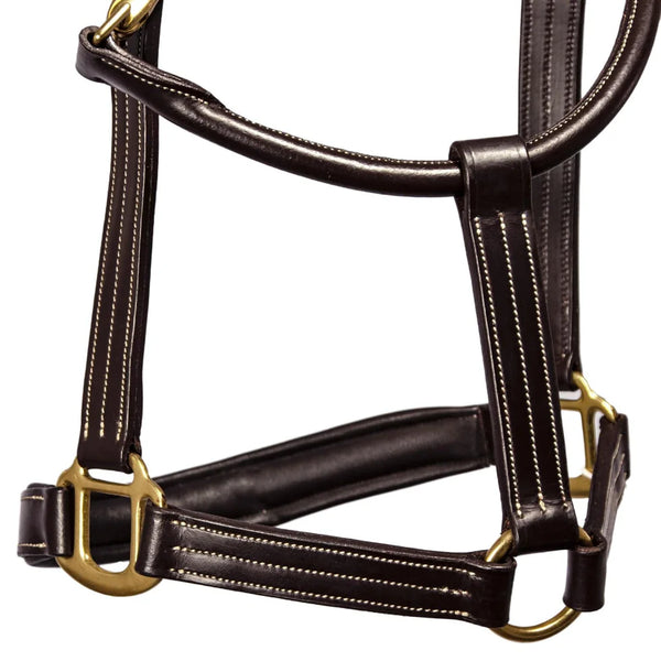 The Tack Hack Stewart Padded Leather Halter