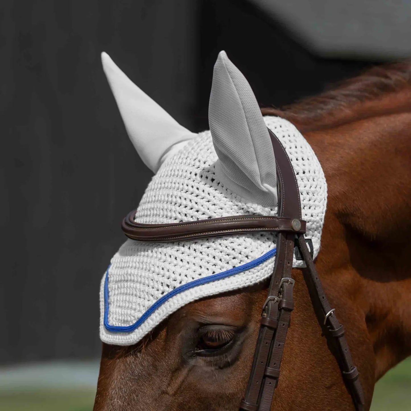 Equinavia Voss All Purpose Saddle Pad and Bonnet Set