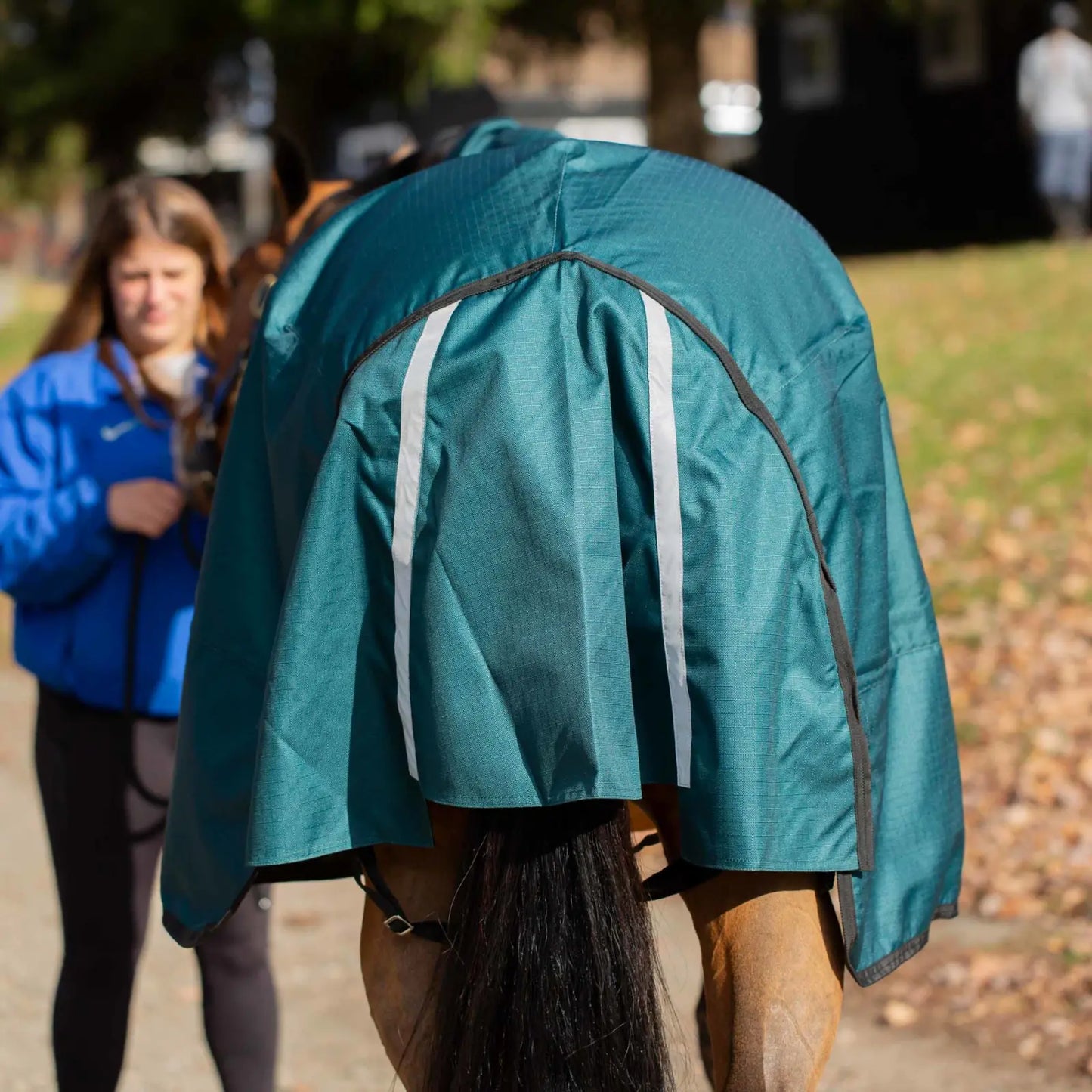 Equinavia Arktis Extended Neck Mid Weight Turnout Blanket 200g