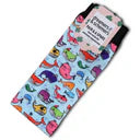 Dreamers And Schemers Youth Pair & a Spare Socks