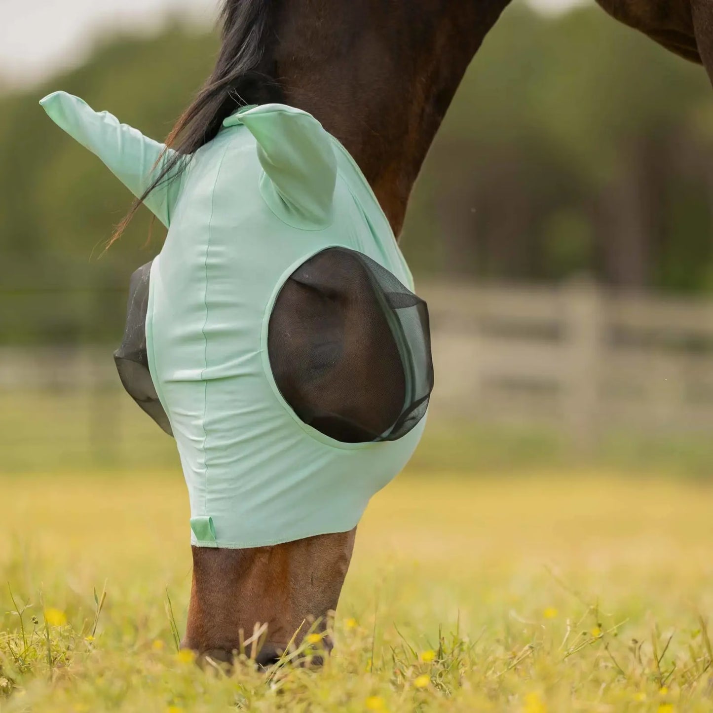 Equinavia Bug Out Fly Mask