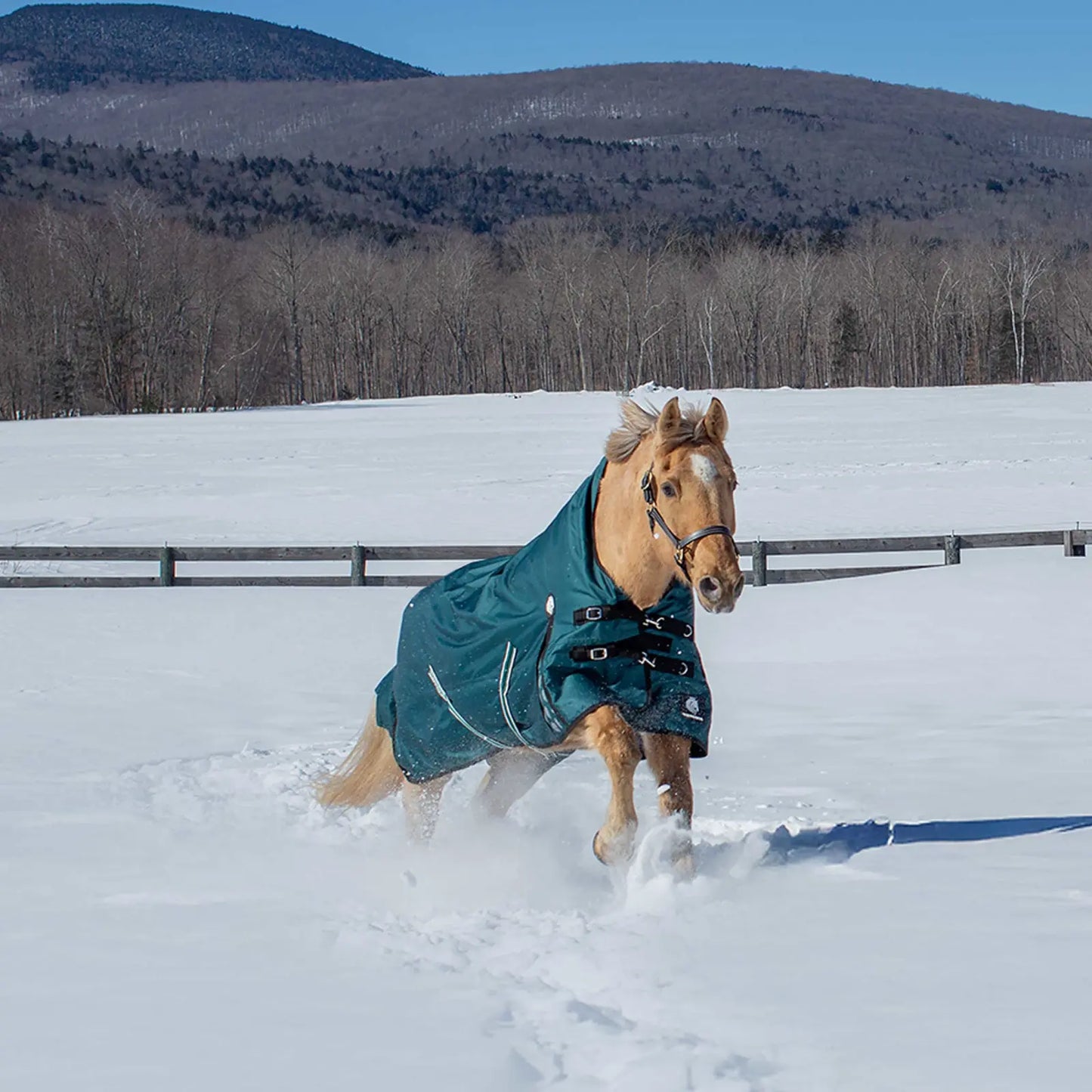 Equinavia Arktis Extended Neck Mid Weight Turnout Blanket 200g