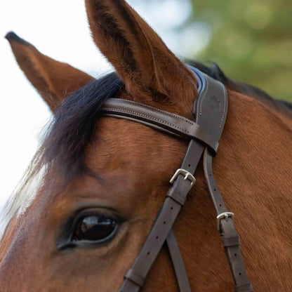 Equinavia Saga Hackamore Bridle with Rubber Reins