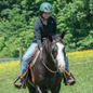 Liberty Evergreen Duratec