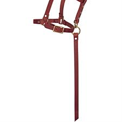 Weaver Leather 5/8" Riveted Halter, Burgundy