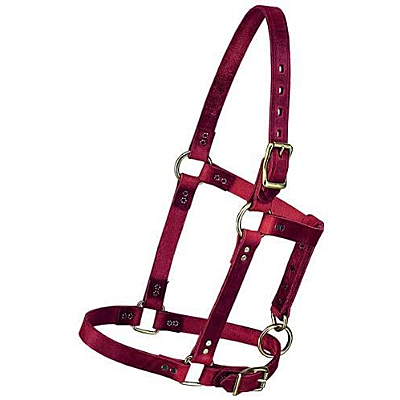 Weaver Leather 5/8" Riveted Halter, Burgundy