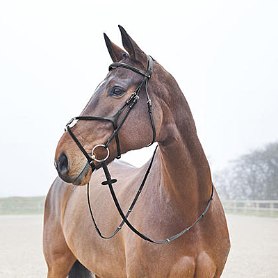 prescott black figure 8 bridle