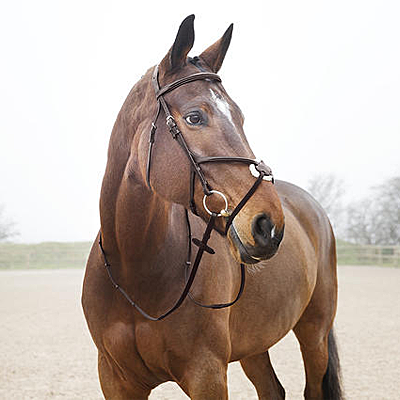 prescott brown figure 8 bridle