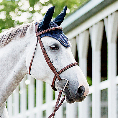 harrison dark brown bridle