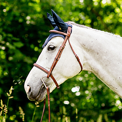 harrison light brown bridle