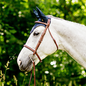 harrison light brown bridle