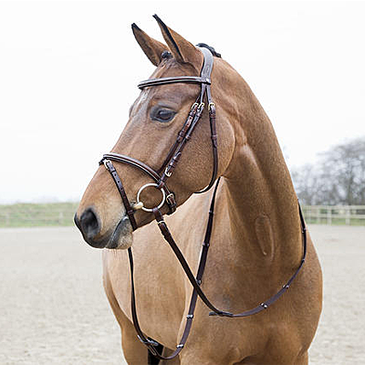 constance flash bridle