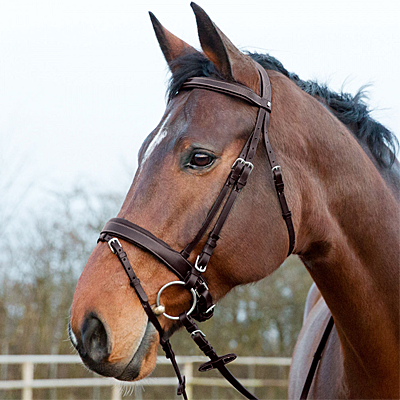 Horze Venice Bridle