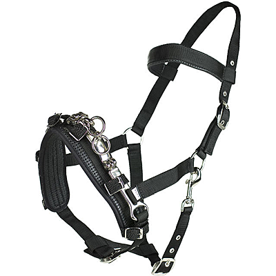 nylon lunging cavesson
