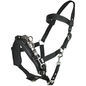 nylon lunging cavesson
