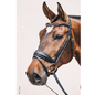 Schockemohle-Sports Stanford Anatomical Bridle-black burgundy rose