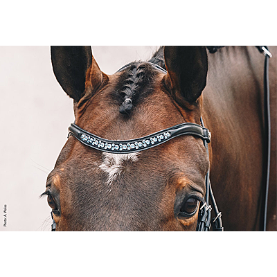 Schockemohle-Sports Stanford Anatomical Bridle-black jean silver