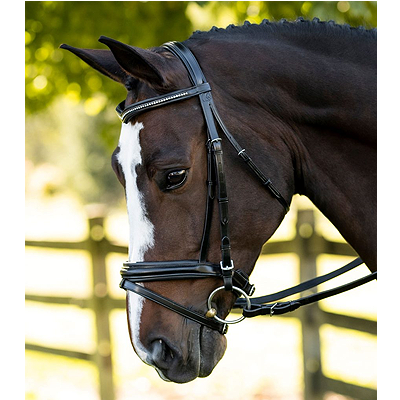 KL Italia Pirouette Weymouth Bridle
