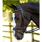 KL Italia Pirouette Bridle