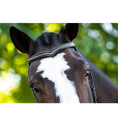 KL Italia Pirouette Weymouth Bridle - Thumbnail 2