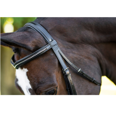 KL Italia Pirouette Weymouth Bridle - Thumbnail 5