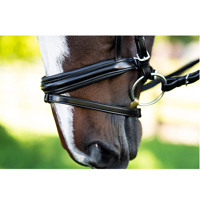KL Italia Pirouette Weymouth Bridle - Thumbnail 3