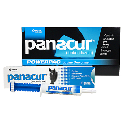 Panacur Paste Dewormer