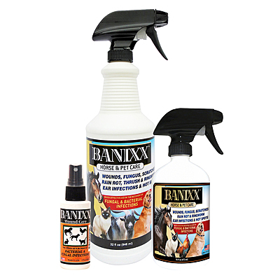 banixx horse and pet care