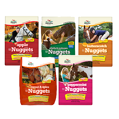horse treats
